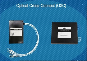 What is Optical Cross-Connection (OXC) in OTN?
